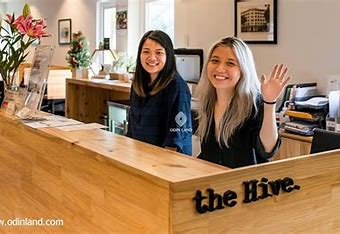 https://sts-vn.com/29-nguyen-ba-lan-the-hive-villa-coworking?lang=en